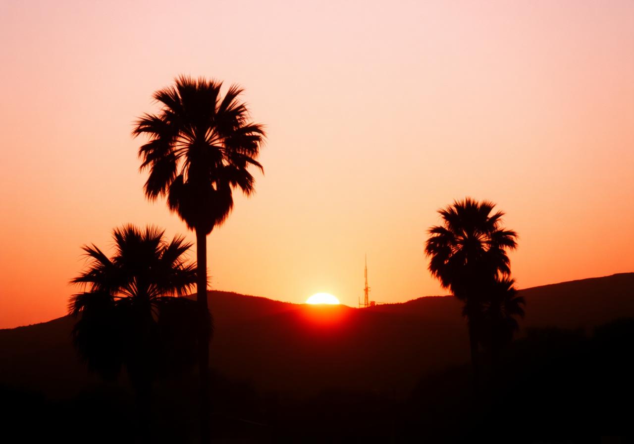 Los Angeles — New arrivals